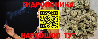 a pvp Будённовск