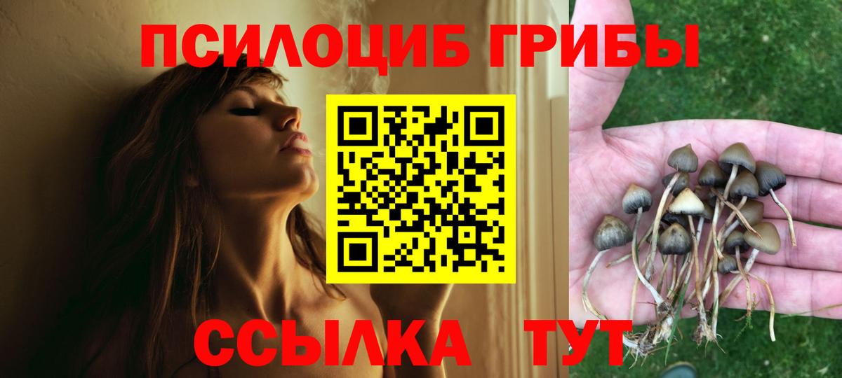 Сосновоборск  Псилоцибиновые грибы мухоморы  Вход с VPN 